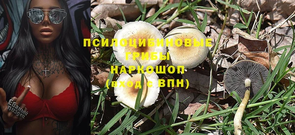 ALPHA-PVP Белокуриха