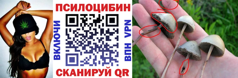 Псилоцибиновые грибы Psilocybine cubensis  купить наркотики цена  Таруса 